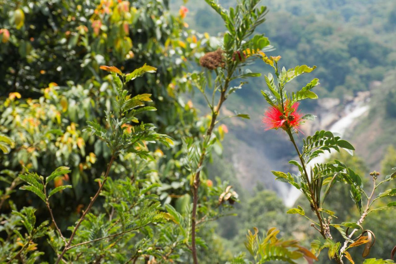 Aranyaka Resorts Munnar Bagian luar foto