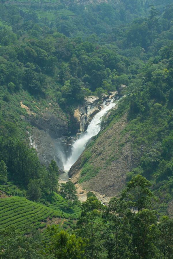 Aranyaka Resorts Munnar Bagian luar foto